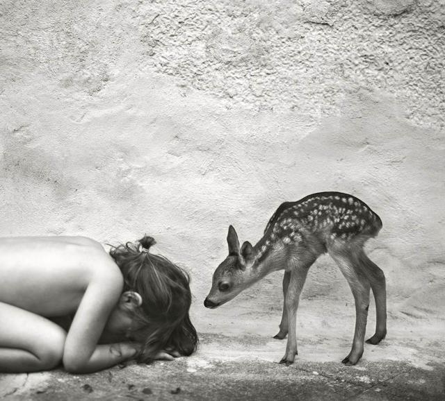 expo alain laboile