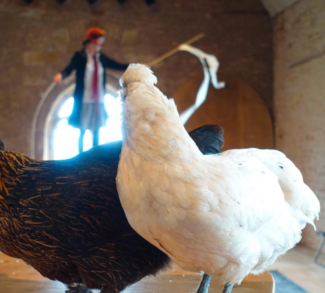 Le bout du fil n'existe pas - Danse avec les poules