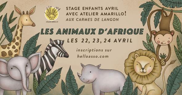 stage-avril-afrique2.jpg