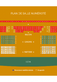 Téléchargez le plan de la salle de spectacles